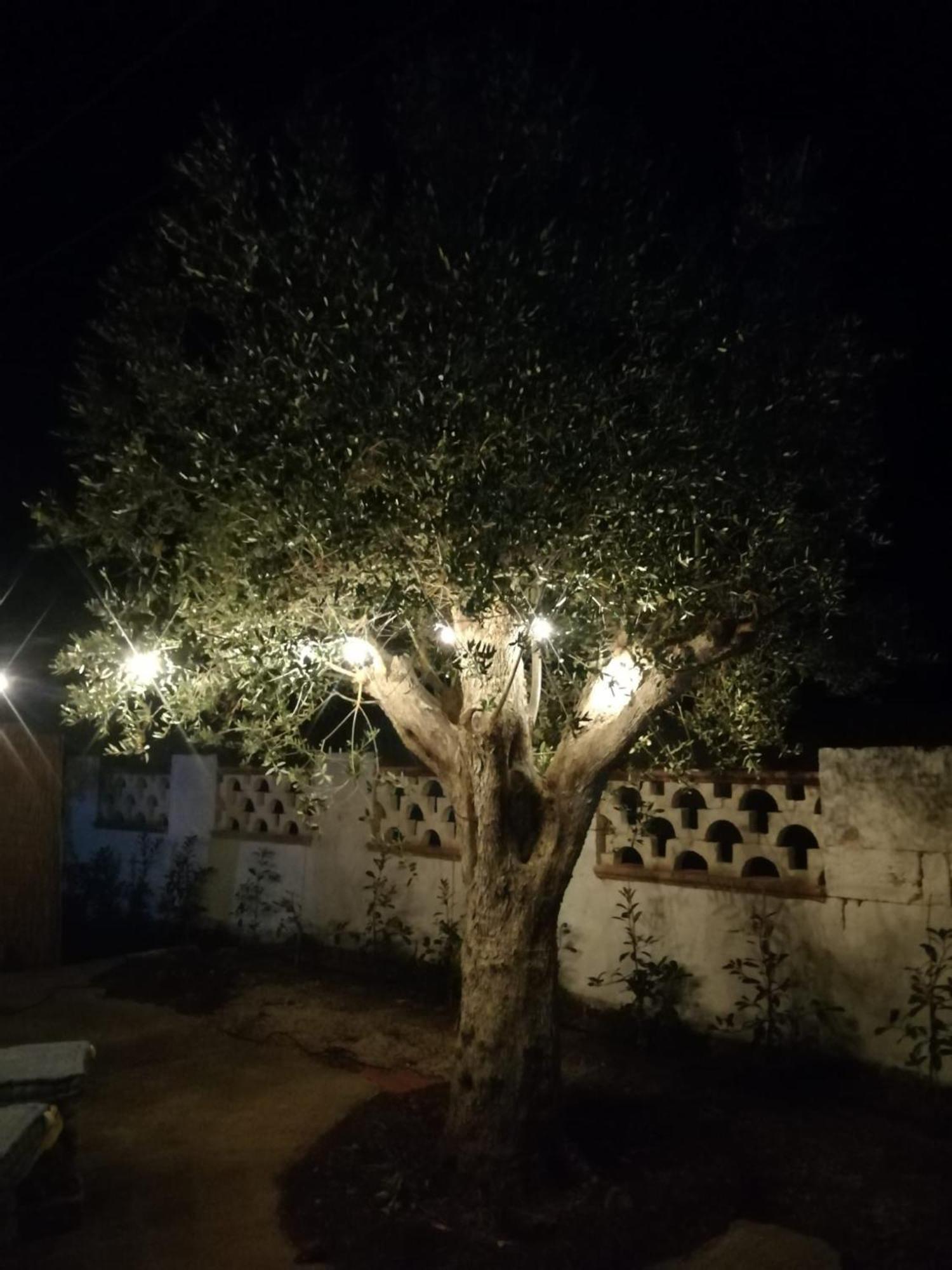 Nardò Villa Rebecca מראה חיצוני תמונה